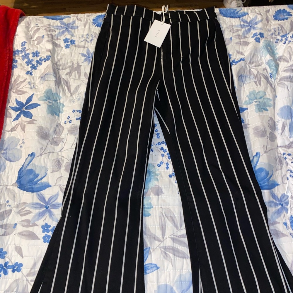 Cello flared Jeans